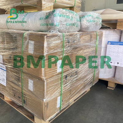 Giấy Plotter 20LB màu xanh một mặt với nguyên liệu bột gỗ thô để sử dụng hàng ngày
