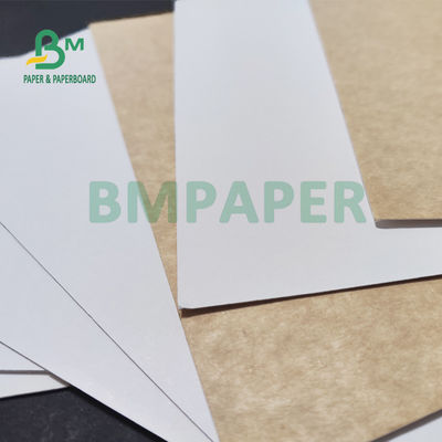325gsm Đồng nhất Giấy Kraft tráng trắng để đóng gói bánh mì 70 X 100cm