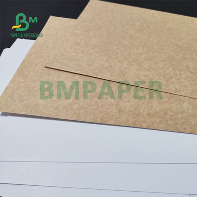 325gsm Đồng nhất Giấy Kraft tráng trắng để đóng gói bánh mì 70 X 100cm