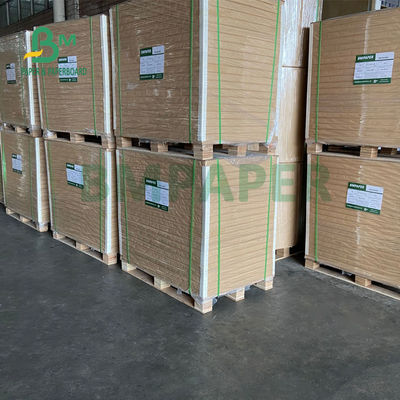 325gsm Đồng nhất Giấy Kraft tráng trắng để đóng gói bánh mì 70 X 100cm
