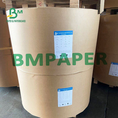 Giấy thấm không tráng 0,5mm Màu trắng tự nhiên trên cuộn cho các miếng đệm chai