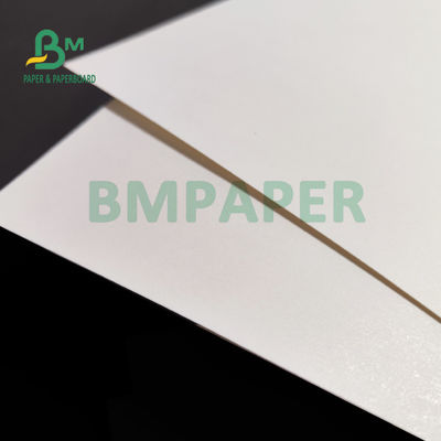 Giấy chứng khoán cốc nhiều lớp 230gsm + 15 PE Matt cho đồ uống nóng 882mm