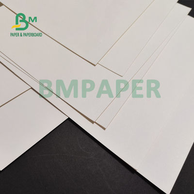 Giấy chứng khoán cốc nhiều lớp 230gsm + 15 PE Matt cho đồ uống nóng 882mm