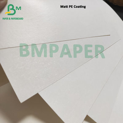 Bảng giấy chứng khoán cốc trắng tùy chỉnh với 1 PE 2 tráng PE không tráng