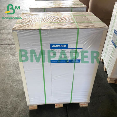 Bảng giấy chứng khoán cốc trắng tùy chỉnh với 1 PE 2 tráng PE không tráng