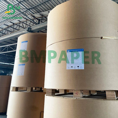 Bảng giấy chứng khoán cốc trắng tùy chỉnh với 1 PE 2 tráng PE không tráng