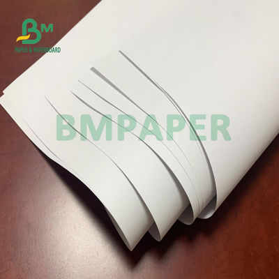 Giấy không tráng gỗ 50gsm 53gsm 55gsm cho các trang Notepad ở dạng cuộn