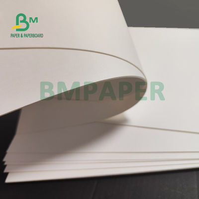 Giấy thấm mỡ trắng 230gsm + 15g PE cho gói hộp đựng thức ăn nhanh 700mm