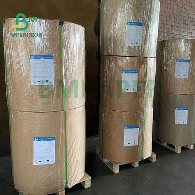 Giấy thấm mỡ trắng 230gsm + 15g PE cho gói hộp đựng thức ăn nhanh 700mm