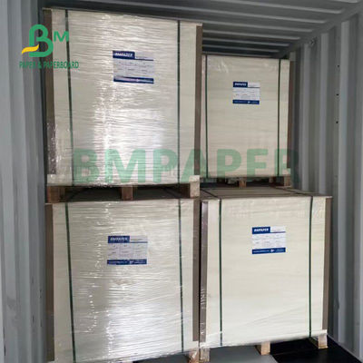 8pt 10pt Giấy bóng C2S có độ cứng cao cho tác phẩm nghệ thuật cao cấp 660mm X 990mm