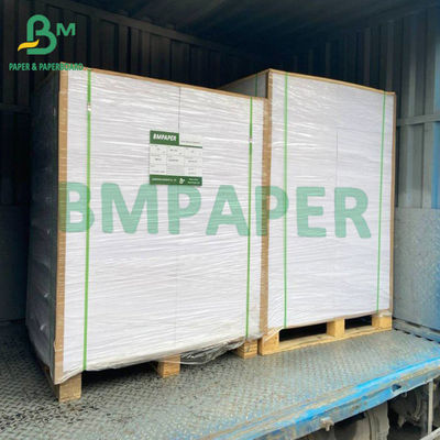 Cuộn giấy đông lạnh tráng trắng 215gsm cho bao bì hộp đựng thực phẩm