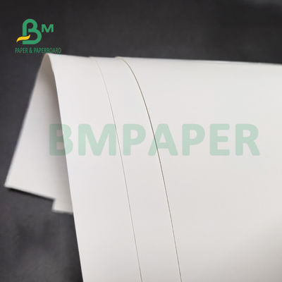 Virgin Pulp Freezer Paper Roll 1 Side FBB Trắng Back 350gsm 36'' X 48'' cho gói chăm sóc sức khỏe