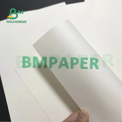 Cốc giấy trắng cuộn 230g 250g 270g + 15g 20g PE ép một mặt