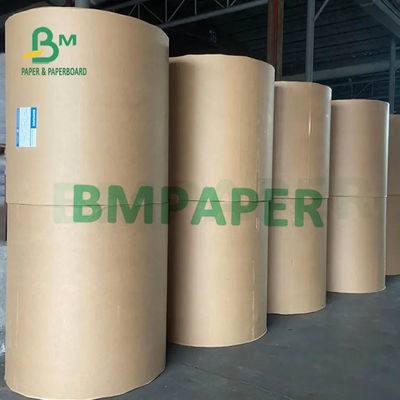 Cốc giấy trắng cuộn 230g 250g 270g + 15g 20g PE ép một mặt