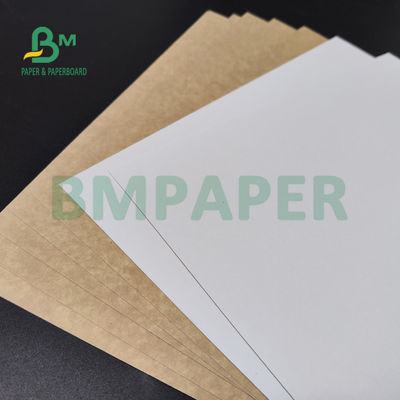 250gsm 300gsm C1S Tấm giấy tráng mặt sau bằng giấy kraft cho hộp salad Thực phẩm an toàn