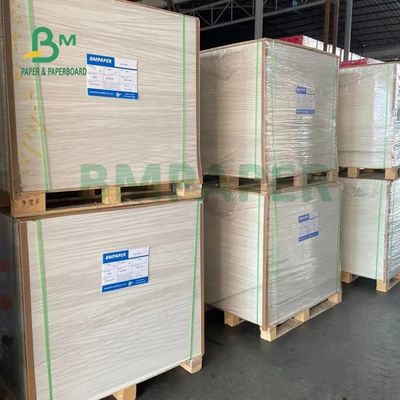 250gsm 300gsm C1S Tấm giấy tráng mặt sau bằng giấy kraft cho hộp salad Thực phẩm an toàn