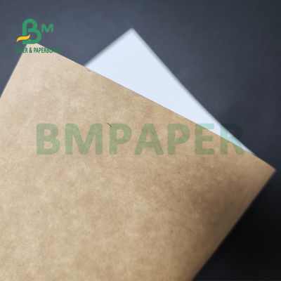250gsm 300gsm C1S Tấm giấy tráng mặt sau bằng giấy kraft cho hộp salad Thực phẩm an toàn