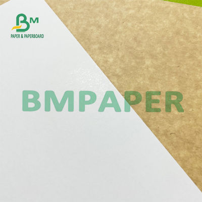 Cuộn giấy đông lạnh phía sau bằng giấy kraft tráng trắng 200g 300g dành cho bao bì thực phẩm đông lạnh