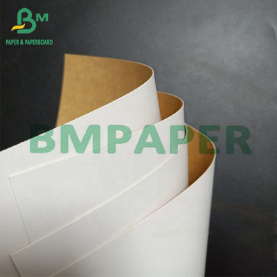 Giấy cuộn đông lạnh không độc hại Giấy cuộn trắng tráng một mặt có mặt sau màu nâu