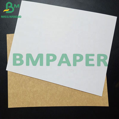 Giấy cuộn đông lạnh không độc hại Giấy cuộn trắng tráng một mặt có mặt sau màu nâu