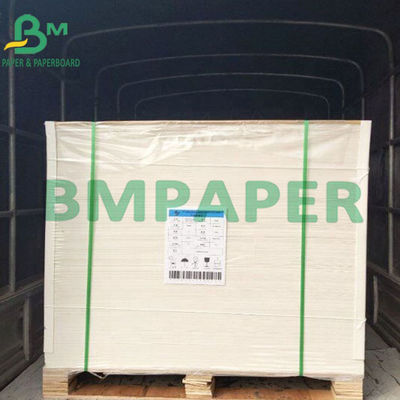 Giấy cuộn đông lạnh không độc hại Giấy cuộn trắng tráng một mặt có mặt sau màu nâu