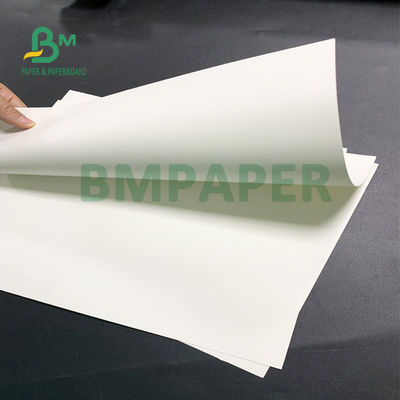 Tấm siêu hấp thụ nước 230gsm 280gsm 615mm X 860mm Trắng tự nhiên