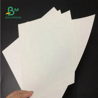 Cuộn giấy trắng trắng nguyên chất 24 X 35 inch 150gsm 170gsm 190gsm cho túi giấy