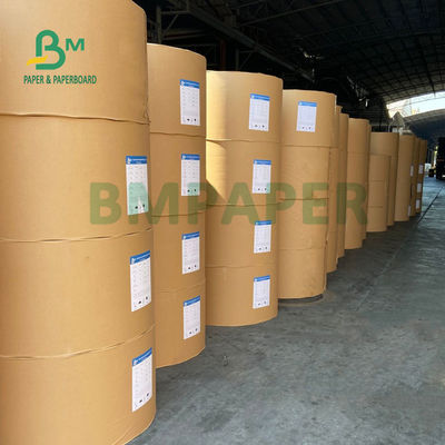 Chống nước 1 PE 2 Tấm phủ PE tráng cho cà phê Cafe Thân thiện với môi trường 900mm