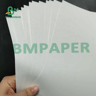 Bề mặt mờ giấy tổng hợp PP không thể xé được 180um cho bản đồ