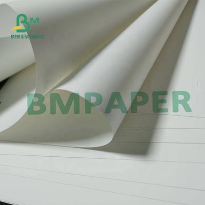 Bề mặt mờ giấy tổng hợp PP không thể xé được 180um cho bản đồ