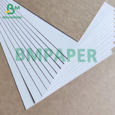 Thực phẩm trắng tráng bìa carton gấp giấy kraft mặt sau 325gsm