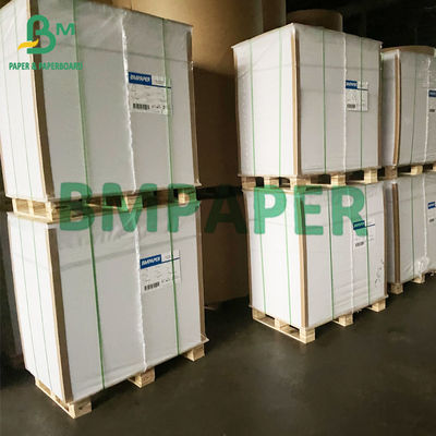 Thực phẩm trắng tráng bìa carton gấp giấy kraft mặt sau 325gsm