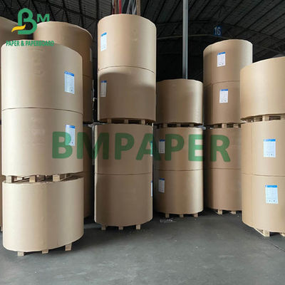 FBB SBS Ivory Board 200gsm đến 400gsm 750mm 900mm Jumbo Rolls