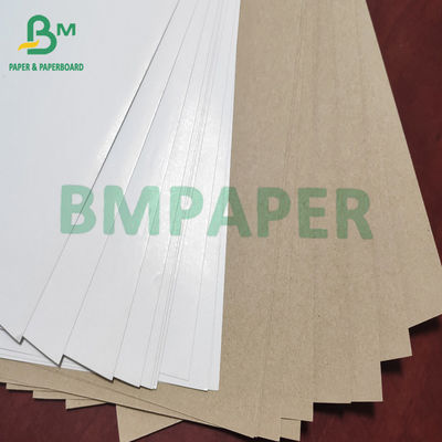Giấy lót giấy Kraft tráng phủ đất sét trắng trên cùng 140g - 200g cho hộp carton