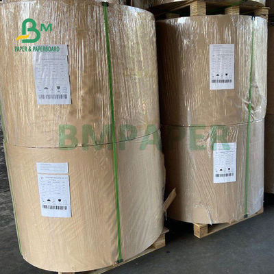 210gsm + 15g Các tông nhiều lớp PE cho cốc giấy Cấp thực phẩm 882mm