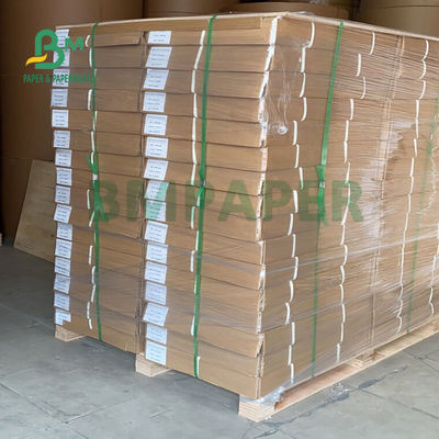 Cuộn giấy Plotter 24'' X 500 Ft để in CAD 80gsm