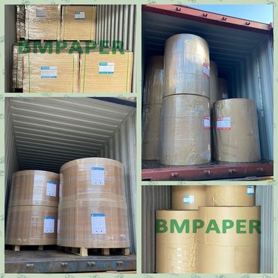 Máy in offset Tờ giấy trắng 120 GSM không tráng cho tờ rơi