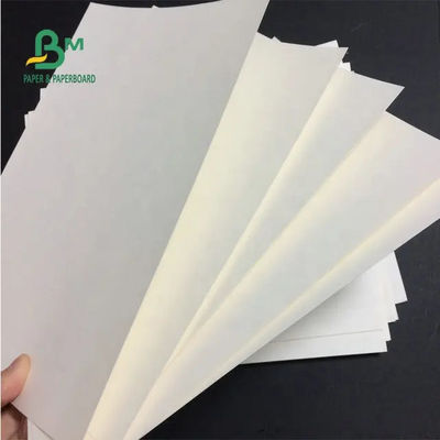 230g Chất liệu PE tráng Cốc không thấm nước Giấy Polyetylen cho cốc giấy