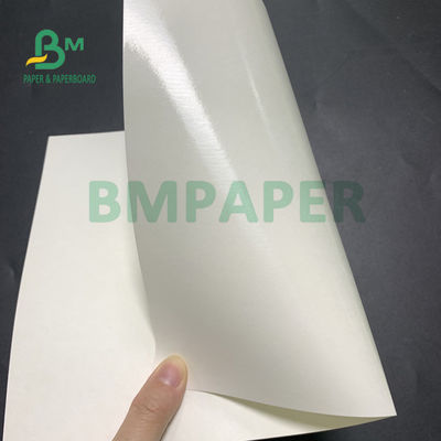 Giấy đế cốc tráng Polyetylen 135gsm + 20gsm cho bát súp