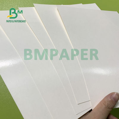 Giấy đế cốc tráng Polyetylen 135gsm + 20gsm cho bát súp