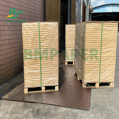 150gsm + 20gsm Ploy Giấy tráng cốc Giấy bền 710mm X 900mm