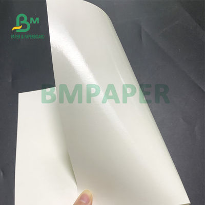 150gsm + 20gsm Ploy Giấy tráng cốc Giấy bền 710mm X 900mm