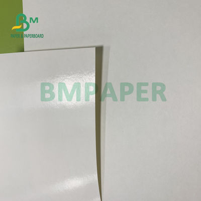 150gsm + 20gsm Ploy Giấy tráng cốc Giấy bền 710mm X 900mm