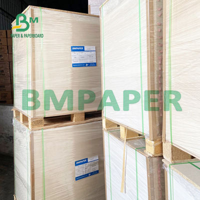 Giấy thấm hút cao 8,26 x 11,8 inch để ép hoa