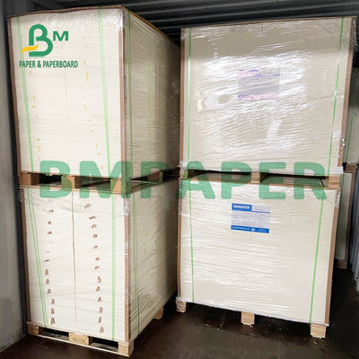 Giấy thấm hút cao 8,26 x 11,8 inch để ép hoa
