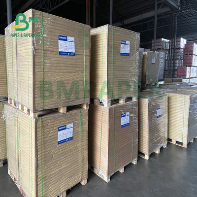 180gsm + 18gsm Tờ giấy tráng PE một mặt không thấm nước