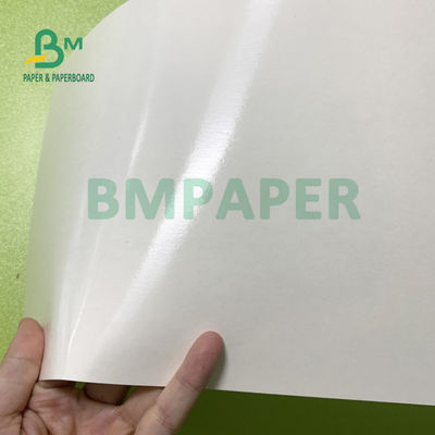 180gsm + 18gsm Tờ giấy tráng PE một mặt không thấm nước
