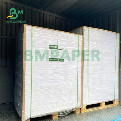 Giấy tráng màng PE 210gsm + 15gsm Cup Độ sáng tốt 615mm X 850mm