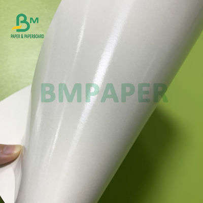 Giấy tráng màng PE 210gsm + 15gsm Cup Độ sáng tốt 615mm X 850mm