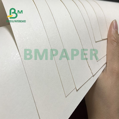 Giấy tráng màng PE 210gsm + 15gsm Cup Độ sáng tốt 615mm X 850mm